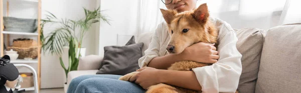 Cropped view of african american woman hugging disabled dog on couch near wheelchair, banner — Stock Photo