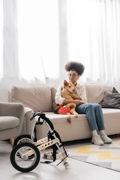 Joven mujer afroamericana abrazando perro discapacitado y mirando a la cámara en casa - foto de stock