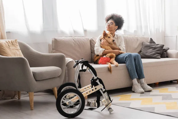 Curly african american woman in eyeglasses hugging dog with special needs near wheelchair in living room — Stock Photo