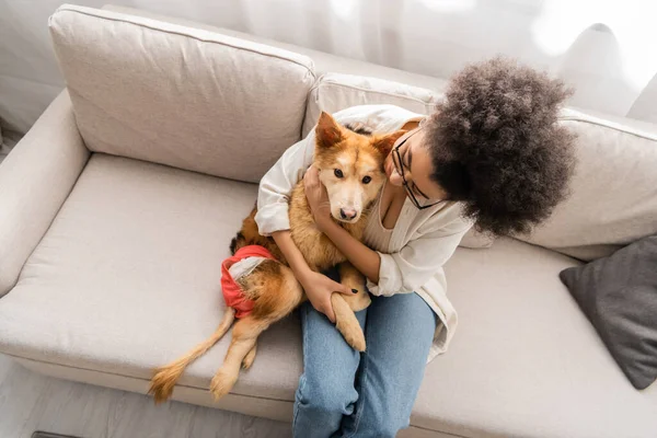 Над головою дивиться на афро - американську жінку, яка обіймає собаку - інваліда, сидячи вдома на дивані. — стокове фото