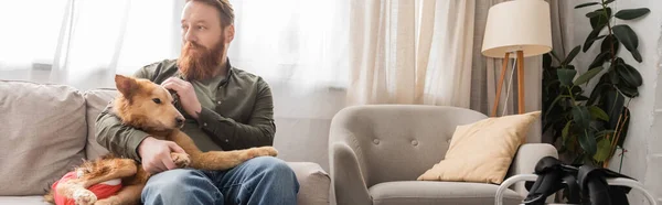 Hombre barbudo acariciando perro discapacitado mientras está sentado en el sofá en casa, pancarta - foto de stock