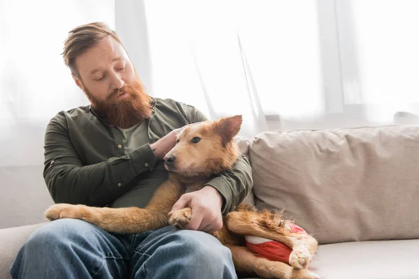Homem barbudo abraçando e olhando para cão deficiente no sofá em casa — Fotografia de Stock