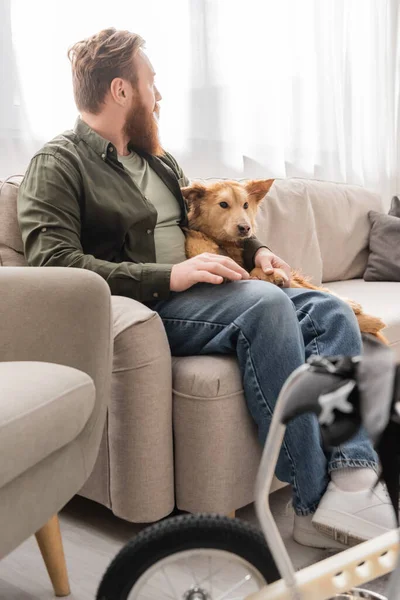 Vista lateral do homem barbudo sentado perto de cão deficiente e cadeira de rodas borrada na sala de estar — Fotografia de Stock