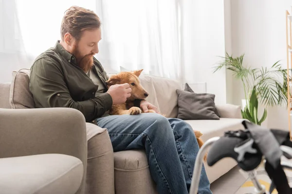 Bearded man sitting near disabled dog and blurred wheelchair in living room — Stock Photo