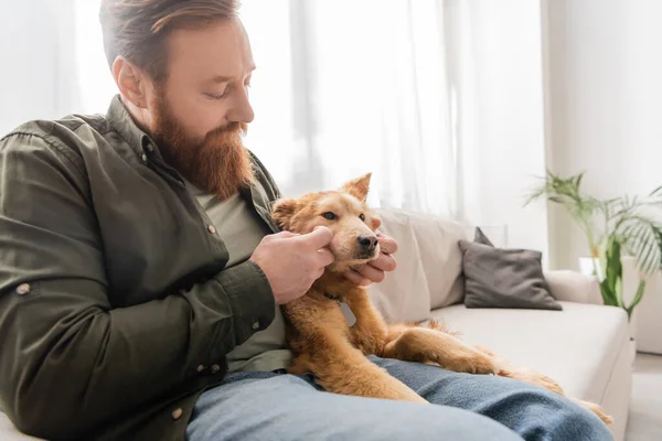 Бородатый мужчина ласкает собаку на диване в гостиной — стоковое фото