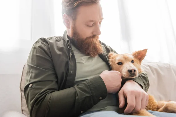 Бородатый мужчина в рубашке обнимает собаку на диване в гостиной — стоковое фото