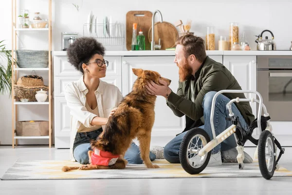 Sonriente pareja interracial acariciando perro discapacitado cerca de silla de ruedas en cocina - foto de stock