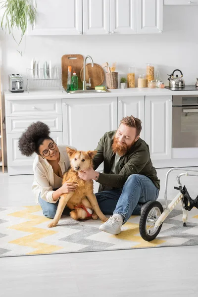 Positiva pareja multiétnica sentada cerca de perro discapacitado y silla de ruedas en la cocina - foto de stock