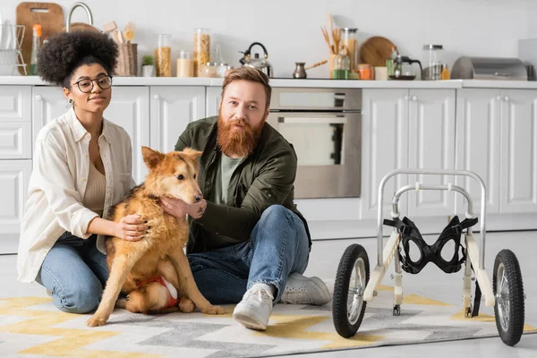 Multiethnic couple looking at camera near handicapped dog on floor in kitchen — Stock Photo