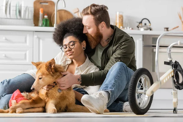 Tattooed man hugging african american girlfriend and handicapped dog near wheelchair in kitchen — Stock Photo
