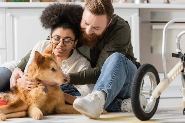 Sorrindo homem olhando para o cão com deficiência perto da namorada afro-americana em casa — Fotografia de Stock