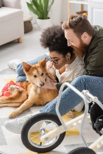 Couple multiethnique prenant soin d'un chien handicapé à la maison — Photo de stock