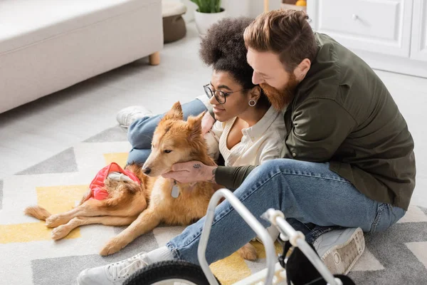 Multiethnisches Paar spricht, während es neben behindertem Hund zu Hause sitzt — Stockfoto