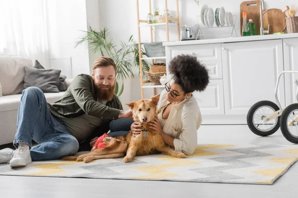 Couple interracial positif prenant soin de chien handicapé sur le sol dans la cuisine — Photo de stock
