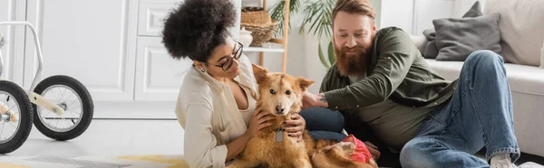 Positive man petting handicapped dog near african american girlfriend on floor at home, banner — Stock Photo