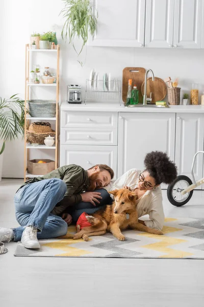 Feliz pareja interracial riendo y sentado cerca de perro discapacitado en el suelo en casa - foto de stock