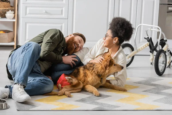 Homem barbudo feliz passar tempo com a namorada afro-americana e cão deficiente em casa — Fotografia de Stock