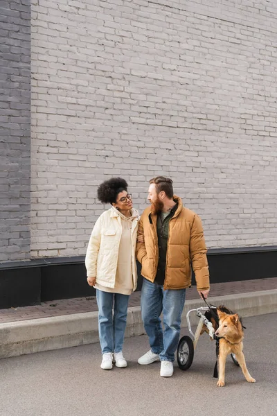 Sonriente pareja interracial de pie cerca de perro discapacitado en la calle urbana - foto de stock