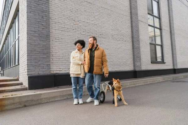 Улыбающаяся межрасовая пара с инвалидной собакой, стоящей на городской улице — стоковое фото