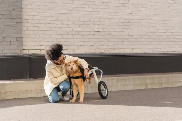 Sonriente mujer afroamericana abrazando perro con necesidades especiales en la calle urbana - foto de stock