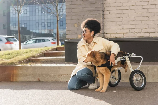 Sonriente mujer afroamericana abrazando perro con necesidades especiales en la calle urbana en primavera - foto de stock