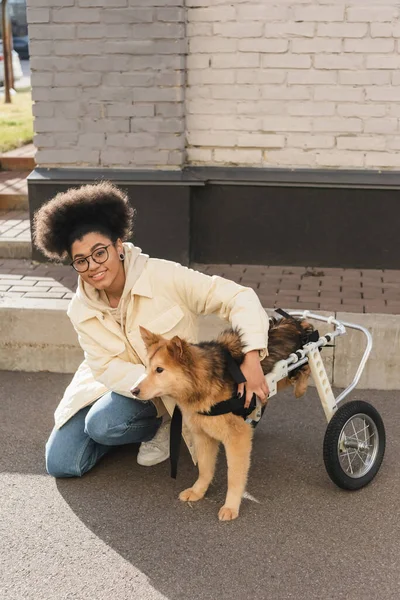 Smiling arican american woman looking at camera and hugging dog with special needs outdoors — Stock Photo