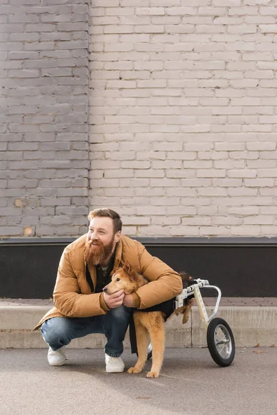 Sonriente hombre barbudo abrazando perro en silla de ruedas en la calle urbana - foto de stock