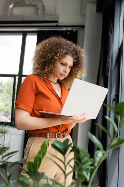 Focused businesswoman with curly hair using laptop next to green plants in modern office — Stock Photo