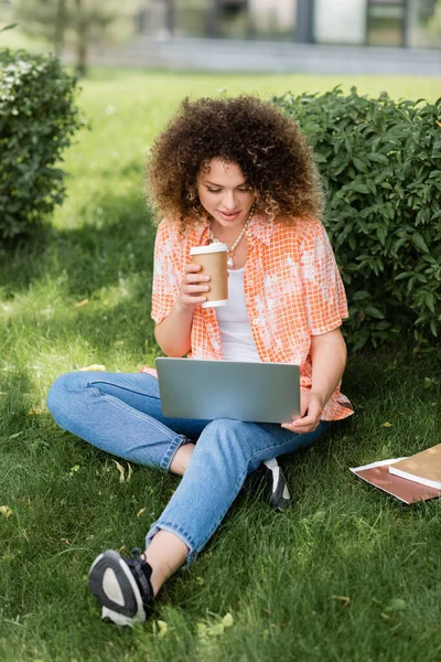 Young woman with curly hair holding paper cup and using laptop while sitting on grass — Stock Photo