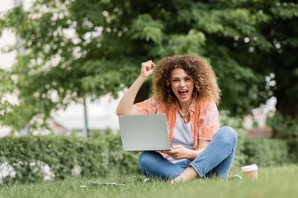 Mujer freelancer emocionada usando el ordenador portátil mientras está sentado en el césped verde cerca de la taza de papel - foto de stock