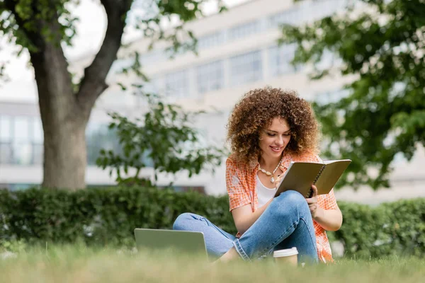 Happy freelancer woman with curly hair holding notebook near laptop and sitting on lawn in green park — Stock Photo