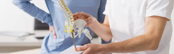Partial view of physiotherapist showing spine model to patient in rehab center, banner — Stock Photo