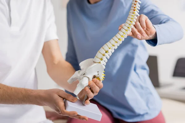 Vista parcial de la mujer tocando el modelo de columna vertebral cerca de fisioterapeuta en la sala de consulta - foto de stock