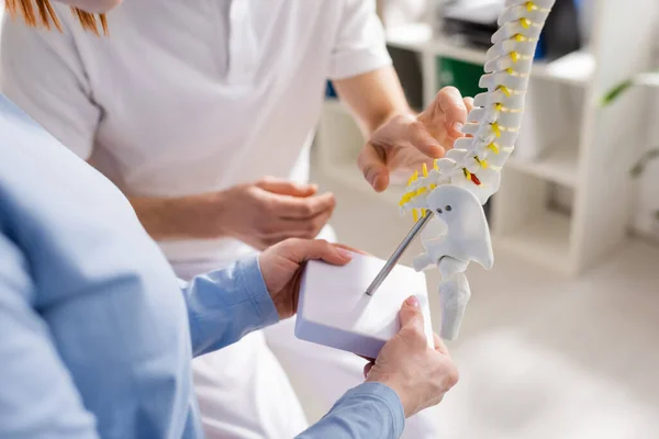 Vista parcial del fisioterapeuta y paciente cerca del modelo de columna vertebral en la sala de consulta - foto de stock