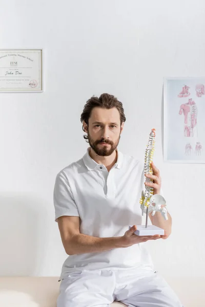 Bearded physiotherapist holding spine model and looking at camera in consulting room — Stock Photo