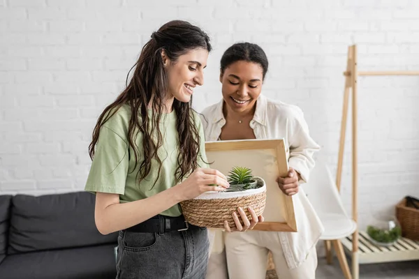 Allegra donna lesbica tenendo cesto di vimini con piante accanto a felice fidanzata multirazziale in nuova casa — Foto stock