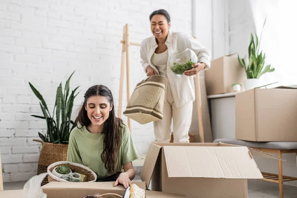 Overjoyed multiracial woman holding glass vase with green plant near lesbian partner during relocation — Stock Photo