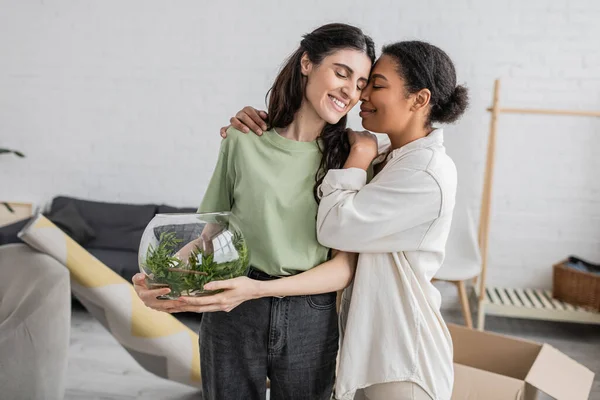 Super alegre mulher multirracial abraçando parceiro lésbico com planta verde em vaso de vidro — Fotografia de Stock