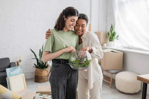 Overjoyed interracial and lesbian women hugging and looking at green plant in glass vase — Stock Photo
