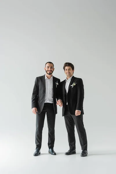 Full length of young and smiling homosexual grooms in classic suits with boutonnieres holding hands and looking at camera on grey background — Stock Photo