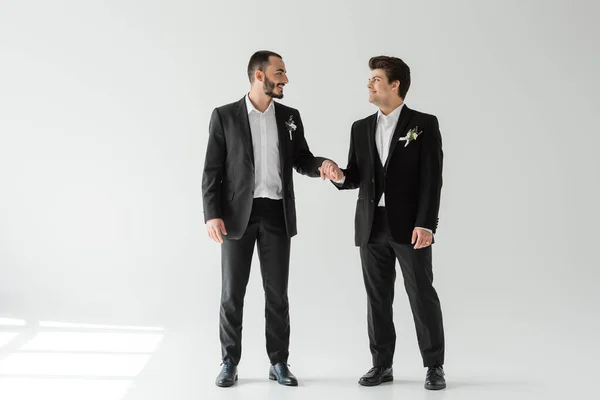 Ganzer Länge positiver homosexueller Bräutigame in eleganter formeller Kleidung, die sich an den Händen halten und einander anschauen, während sie auf grauem Hintergrund mit Sonnenlicht stehen — Stockfoto