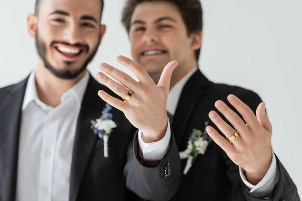 Burred jovens noivos homossexuais em ternos clássicos mostrando anéis de casamento dourados na câmera durante a celebração do casamento isolado em cinza — Fotografia de Stock