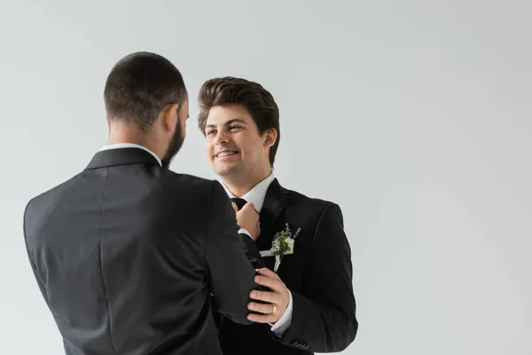 Homosexual man in formal wear adjusting tie of positive and brunette groom with boutonniere and braces during wedding celebration isolated on grey — Stock Photo
