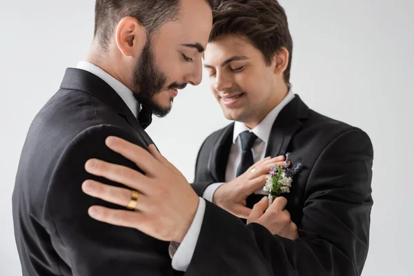 Позитивный и бородатый гей-жених регулирует цветочный бутоньер на элегантном костюме размытого бойфренда в брекетах во время свадебной церемонии, изолированной от серого — стоковое фото