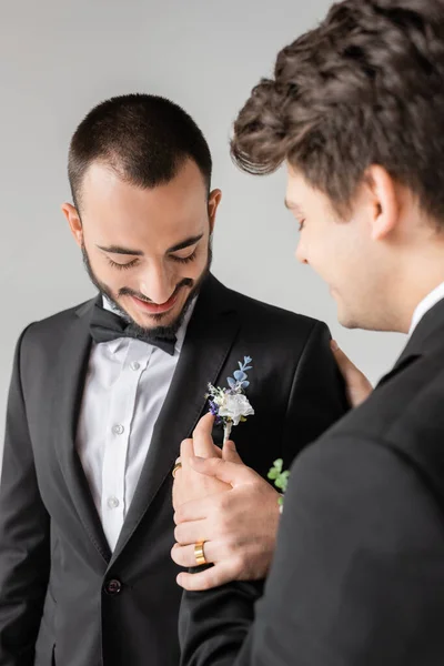Молодой размытый гомосексуалист, приспосабливающий бутоньерку к элегантному костюму веселого бородатого бойфренда во время свадьбы, изолированного от серого — стоковое фото