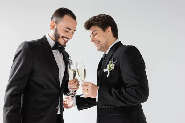 Carefree and bearded homosexual groom toasting champagne glass with elegant boyfriend in braces with boutonniere on suit during wedding ceremony isolated on grey — Stock Photo