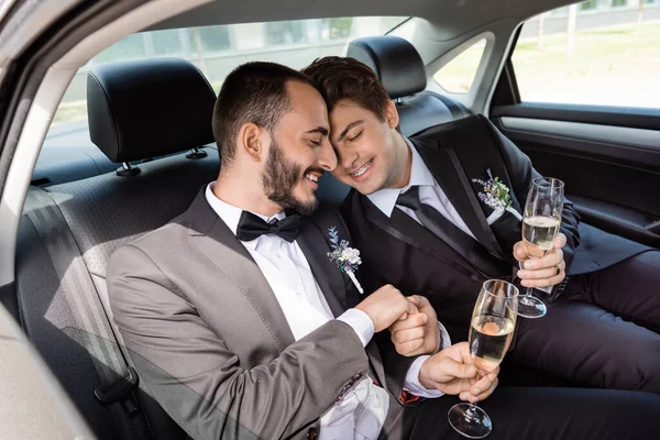 Smiling young gay grooms in elegant suits closing eyes while holding hands and glasses of champagne while sitting on sitting on backseat during honeymoon travel in car — Stock Photo