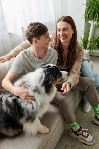 Blick aus der Vogelperspektive auf junge lächelnde lgbt Paar in lässiger Kleidung reden, während die Zeit in der Nähe pelzigen australischen Schäferhund sitzt auf der Couch im Wohnzimmer zu Hause — Stockfoto