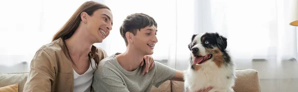 Casal homossexual jovem e sorridente em roupas casuais olhando para cão pastor australiano peludo enquanto descansa no sofá na sala de estar em casa, banner — Fotografia de Stock