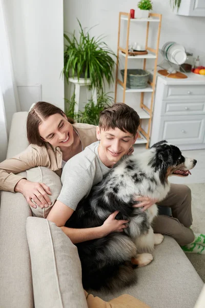 Young homosexual man hugging furry Australian shepherd dog near smiling long haired boyfriend while resting on couch in living room at home — Stock Photo